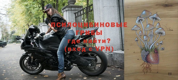 ПСИЛОЦИБИНОВЫЕ ГРИБЫ Богородицк