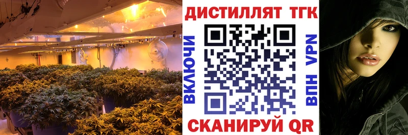 ТГК концентрат  Михайловка 