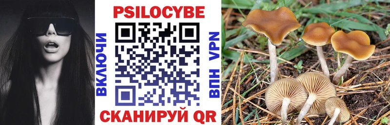 Галлюциногенные грибы Magic Shrooms Михайловка